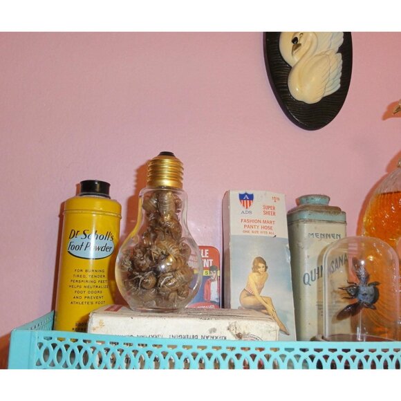 Glass Lightbulb Jar full of 27 Cicada Skins oddity curiosity goth taxidermy - Picture 8 of 16